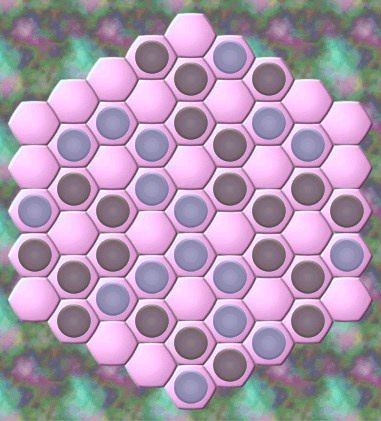 蘇珊棋 蘇珊棋