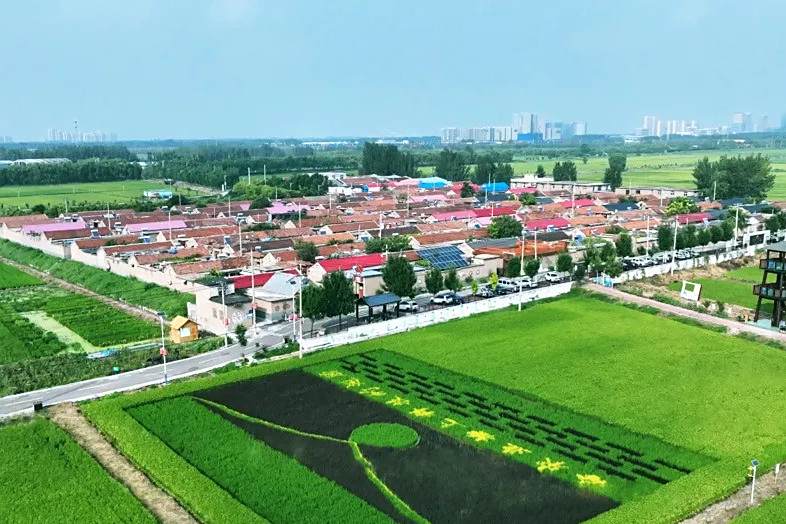 席家莊村(山東省濟南市槐蔭區吳家堡街道下轄行政村)