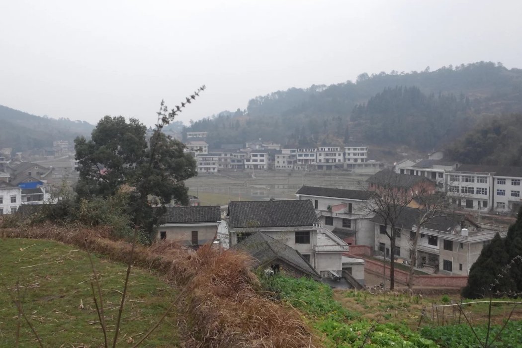 大熊村 大熊村