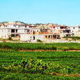 玉田村(福建省泉州市台商投資區張坂鎮玉田村) 玉田村(福建省泉州市台商投資區張坂鎮玉田村)