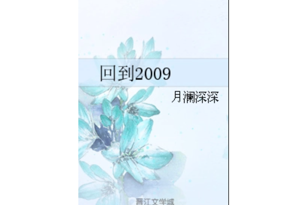 回到2009 回到2009