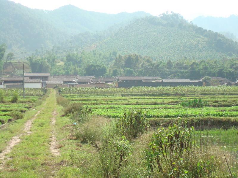 龍家營村(雲南普洱景東縣文井鎮下轄村) 龍家營村(雲南普洱景東縣文井鎮下轄村)