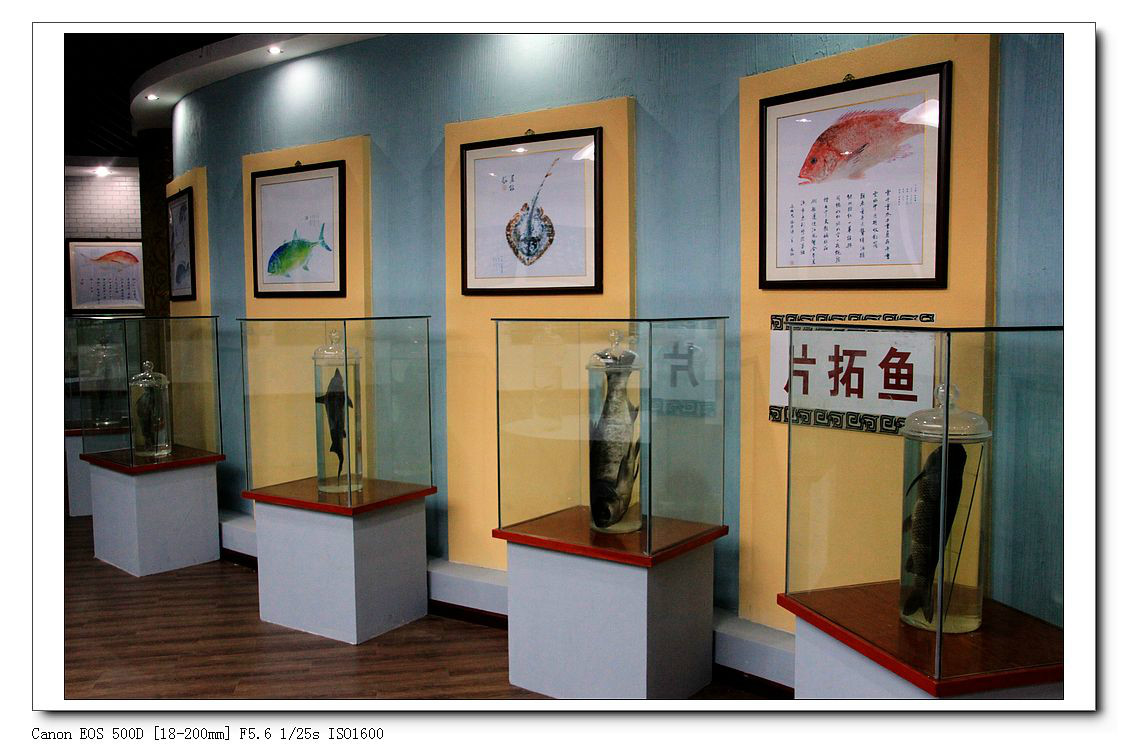 中國釣魚文化博物館