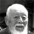 張含英 張含英