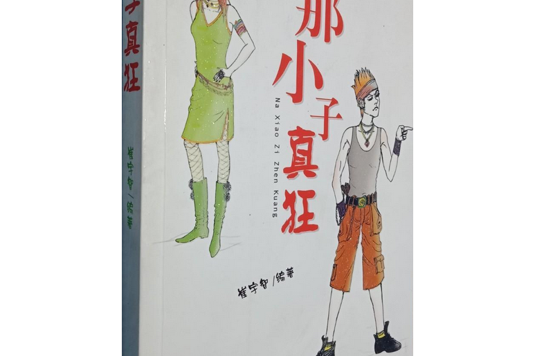 那小子真狂 那小子真狂