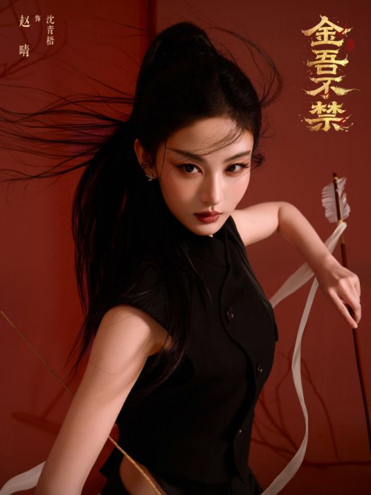 沈青梧(電視劇《金吾不禁》中的角色) 沈青梧(電視劇《金吾不禁》中的角色)