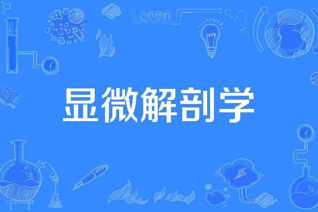 顯微解剖學 顯微解剖學