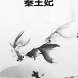 秦王妃 秦王妃