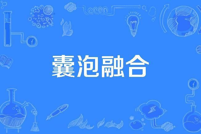 囊泡融合 囊泡融合