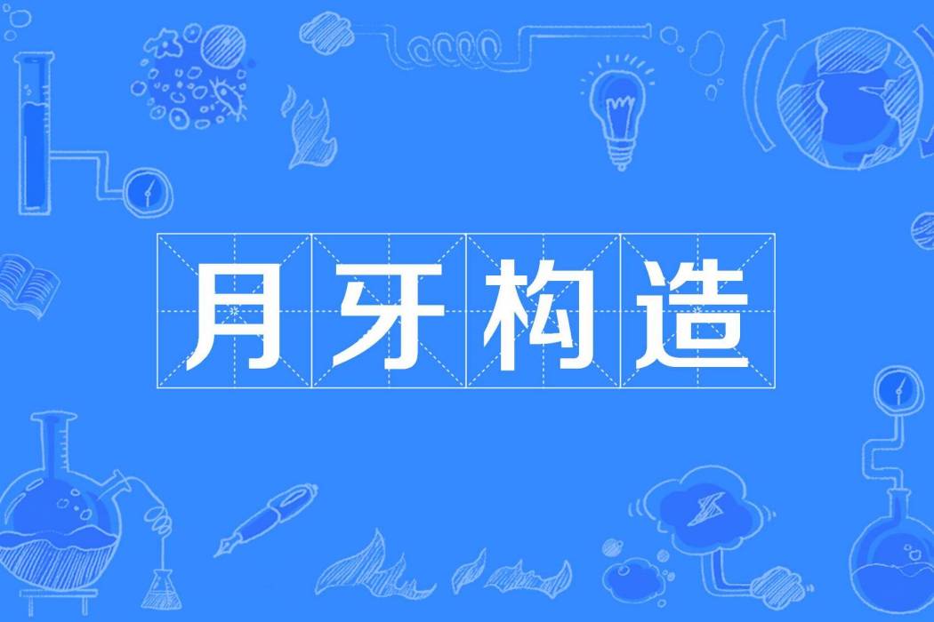 月牙構造 月牙構造