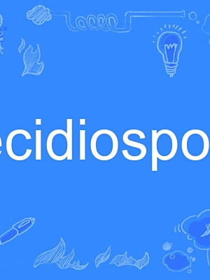 aecidiospore aecidiospore