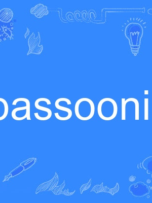 bassoonist bassoonist