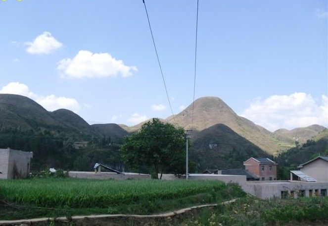 魚良村 魚良村