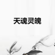 天魂靈魄