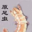 蚖 蚖