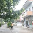 珠江村(廣東省廣州市白雲區江高鎮下轄村) 珠江村(廣東省廣州市白雲區江高鎮下轄村)