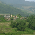 坡東村(山西省澤州縣犁川鎮下轄村) 坡東村(山西省澤州縣犁川鎮下轄村)