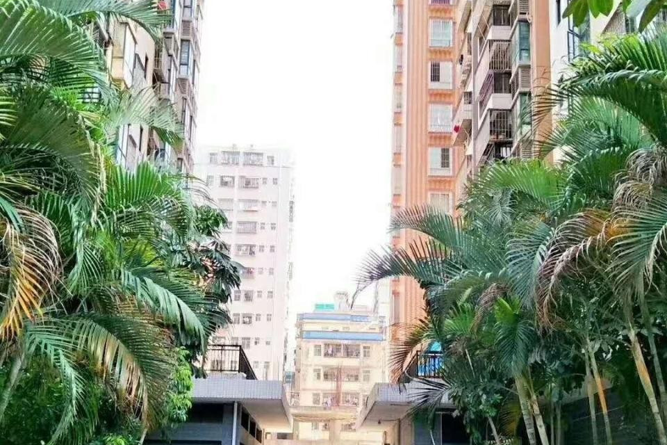 龍苑新村(深圳市龍苑新村小區) 龍苑新村(深圳市龍苑新村小區)