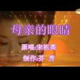 母親的眼睛(宋祖英演唱歌曲) 母親的眼睛(宋祖英演唱歌曲)