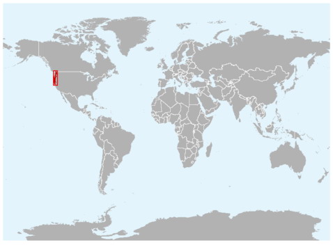 太平洋大鯢（分布圖）