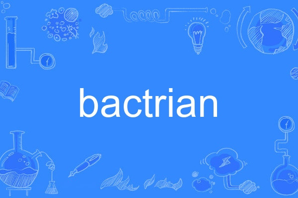 bactrian bactrian