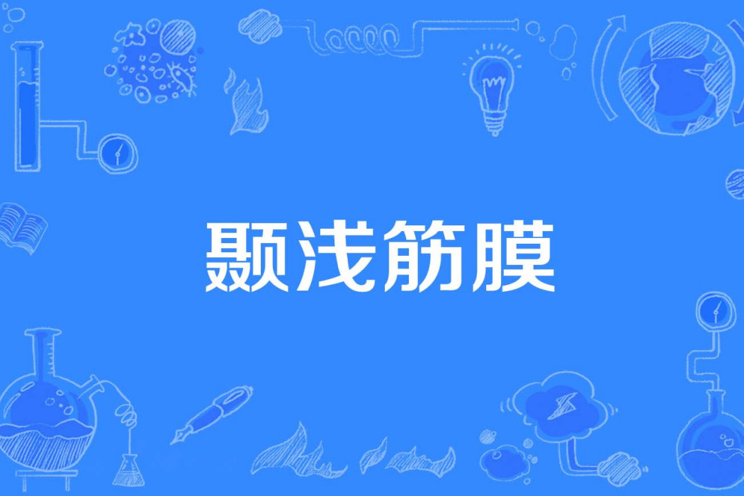 顳淺筋膜 顳淺筋膜