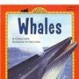 Whales(Faiella, Graham; Maccombie, Turi;著圖書) Whales(Faiella, Graham; Maccombie, Turi;著圖書)