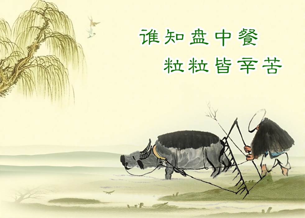善糧 善糧