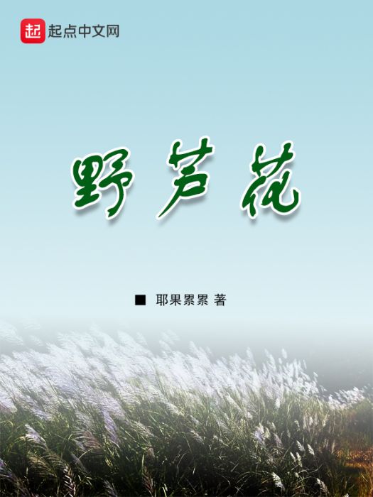 野蘆花 野蘆花