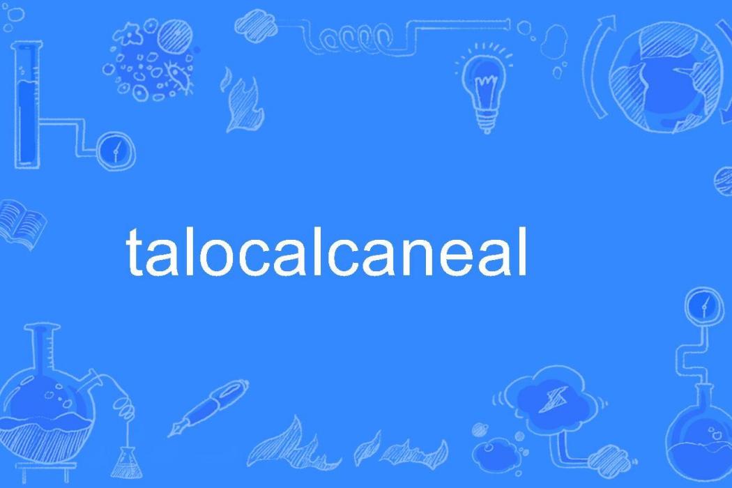 talocalcaneal talocalcaneal