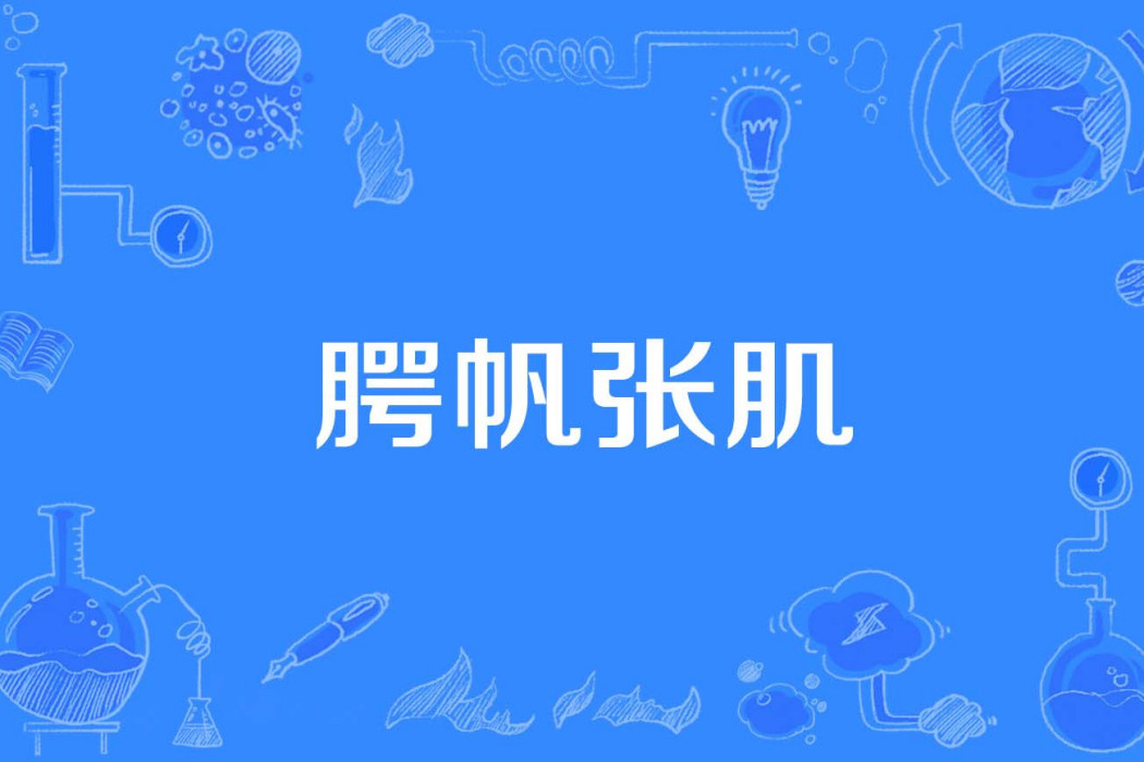 齶帆張肌 齶帆張肌