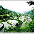 合興村(黑龍江省克山縣西聯鄉合興村) 合興村(黑龍江省克山縣西聯鄉合興村)