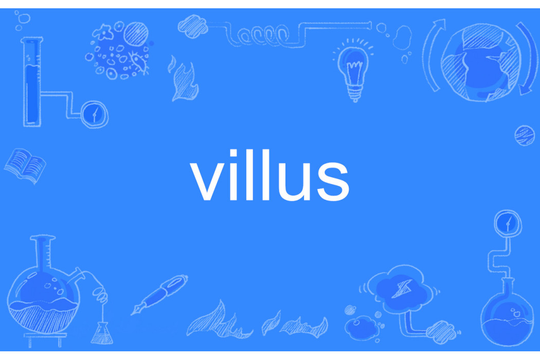 villus villus