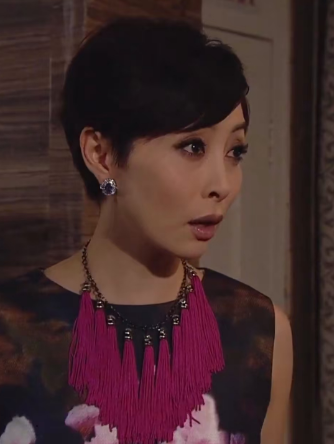 文彩菱 文彩菱