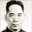 杜鵬程(中國內陸文學創作家)