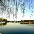 菱湖公園(安慶市公園)
