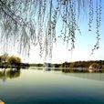 菱湖公園(安慶市公園) 菱湖公園(安慶市公園)