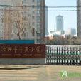 岸英國小 岸英國小