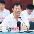 張力夫(海南省人大常委會原副主任) 張力夫(海南省人大常委會原副主任)