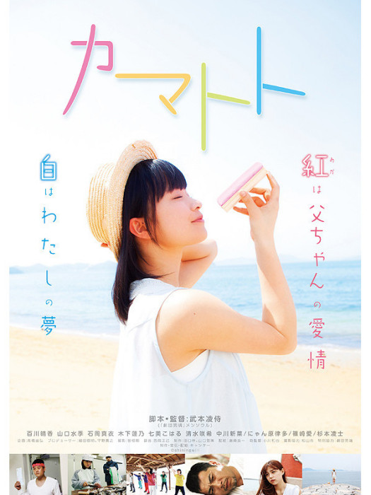 裝糊塗(日本2014年電影) 裝糊塗(日本2014年電影)