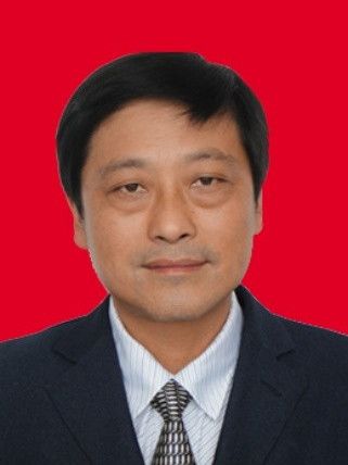 黃淳(廬江縣財政局機關黨委書記) 黃淳(廬江縣財政局機關黨委書記)