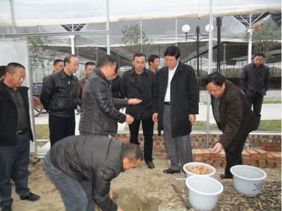 彭長生(江蘇泰靈生物科技有限公司董事長) 彭長生(江蘇泰靈生物科技有限公司董事長)