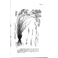 糙三芒草 糙三芒草