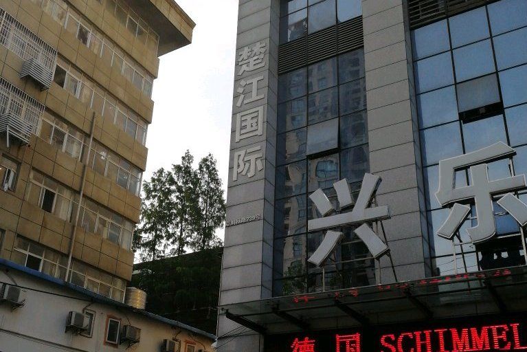 楚江國際 楚江國際