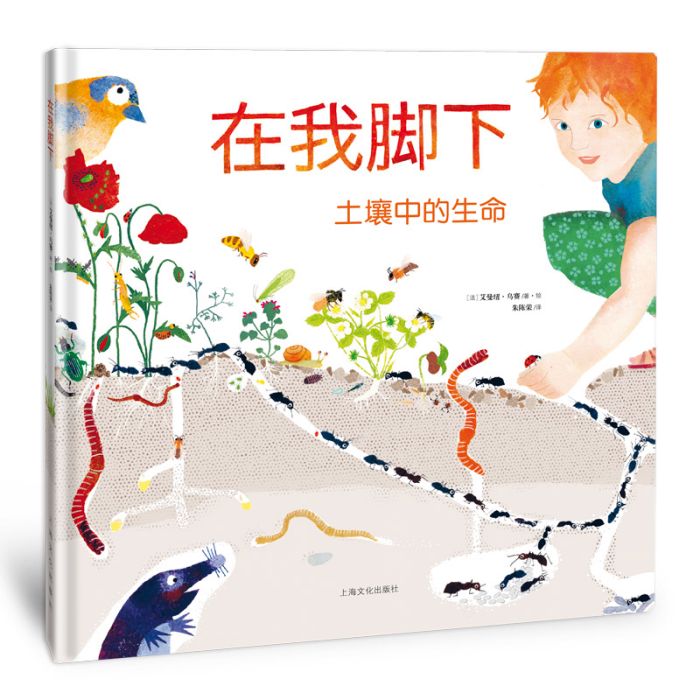 在我腳下 在我腳下
