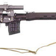 SVDS 狙擊步槍