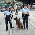 香港警犬隊 香港警犬隊