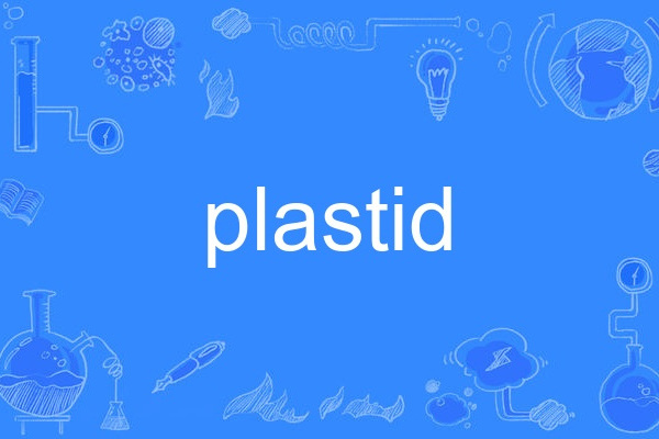 plastid plastid