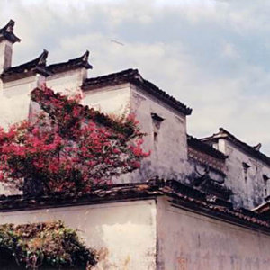 前後潘村