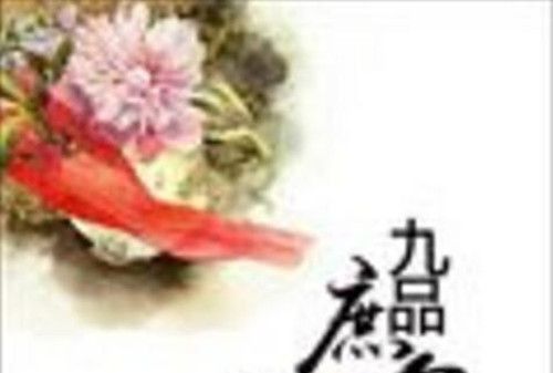 九品庶公主